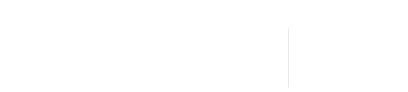 山東同成醫(yī)藥股份有限公司