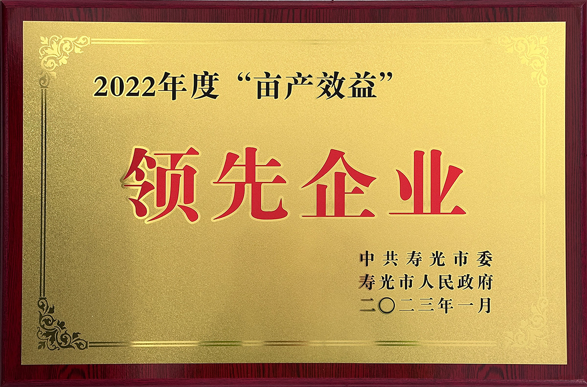 榮譽(yù)證書